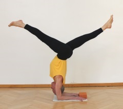 pincha mayurasana